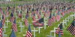 The Flags at the Cemetery
